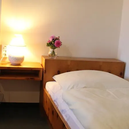 Penzion Gasthof Sollner Hof 3*