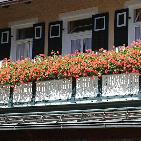 가스트호프 솔너 호프