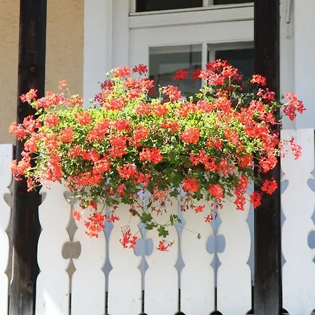 가스트호프 솔너 호프 뮌헨