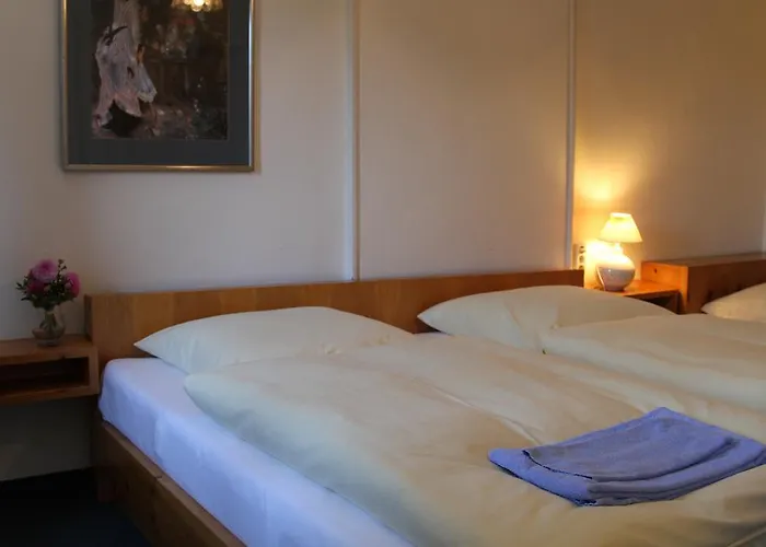 Gasthof Sollner Hof Gasthuis 3*