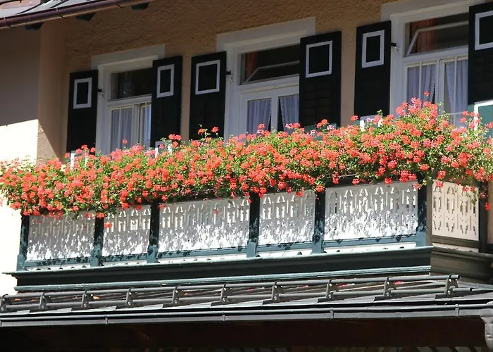 Gasthof Sollner Hof