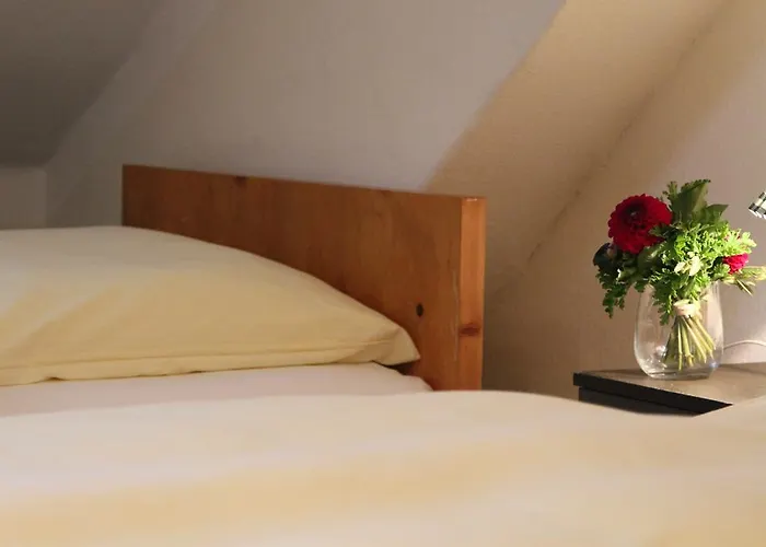 Gasthof Sollner Hof 3*