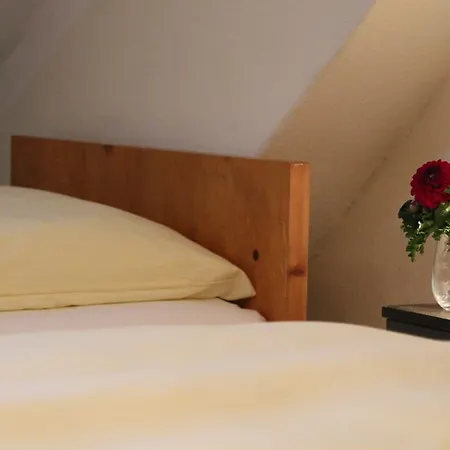 Gasthof Sollner Hof 3*